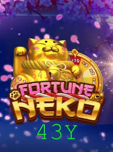 43Y Casino App