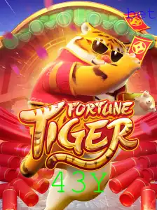 43Y Casino App