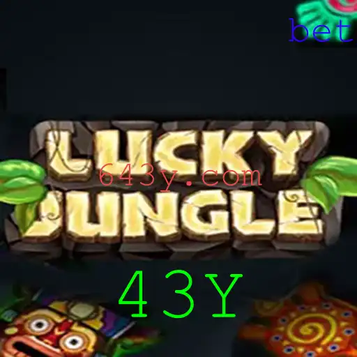 43Y Casino App