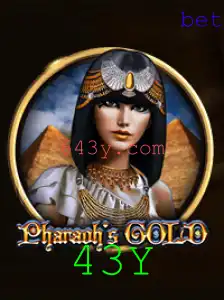 43Y Casino App