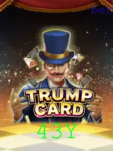 43Y Casino App